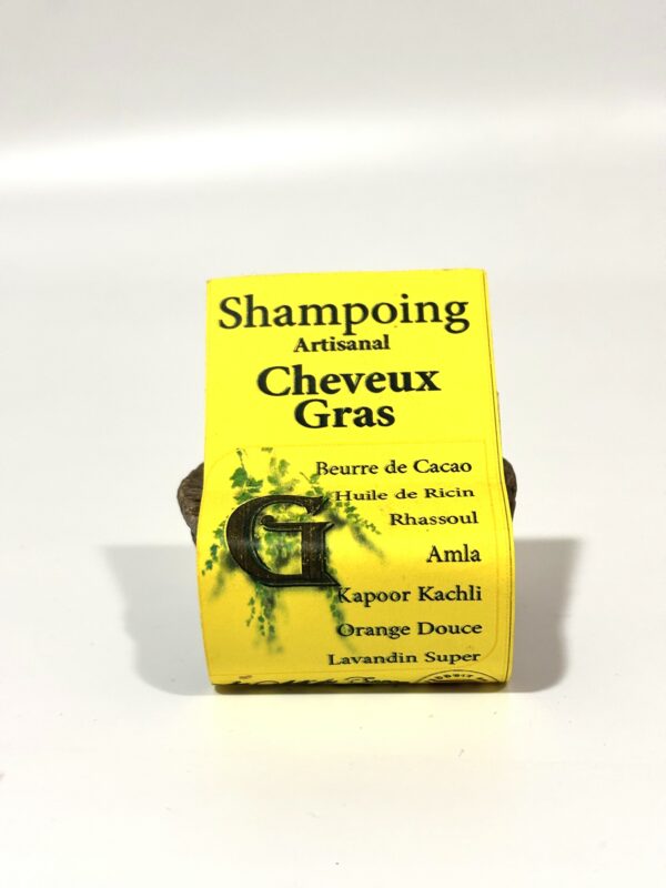 Shampoing Artisanal Cheveux Gras