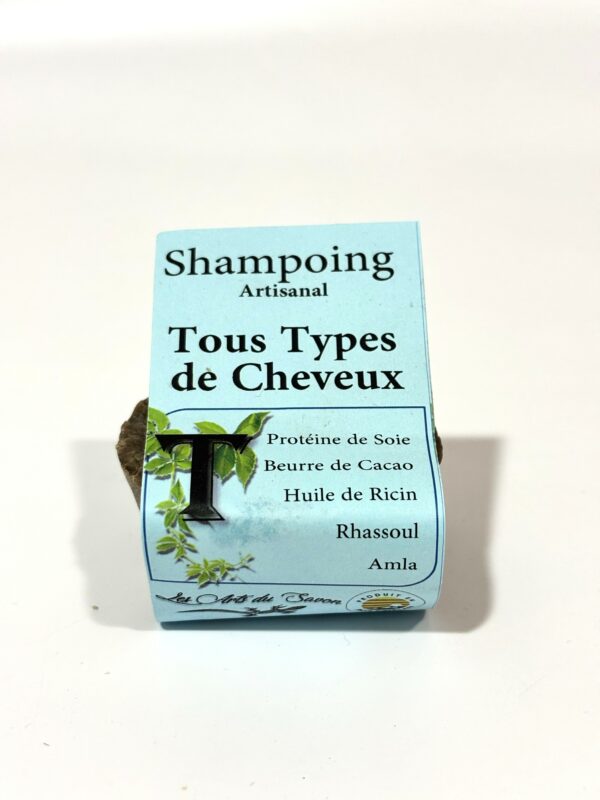 Shampoing Artisanal Tous Types de Cheveux