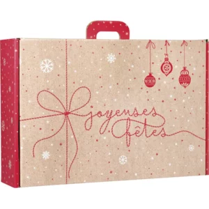 Valisette carton surprise d'hiver 33 x 18,5 x9,5cm